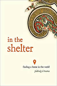 In the Shelter by Padraig O Tuama